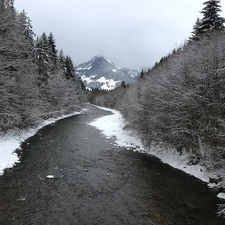 Rosat 18 Gstaad Valley Apartman