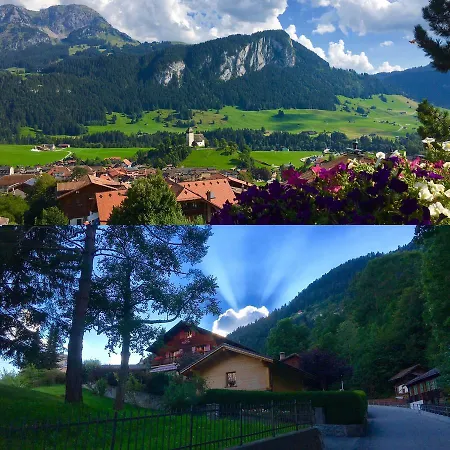 Rosat 18 Gstaad Valley * Chateau-d'Oex