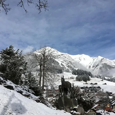 Apartmán Rosat 18 Gstaad Valley *